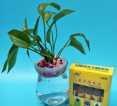 别墅园林绿化设计，打造私密空间，提升居住品质