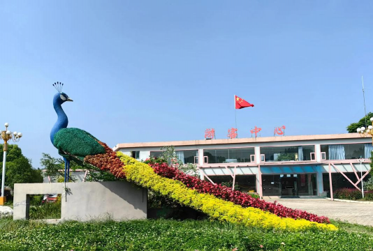 葡萄栽培，掌握关键技术，实现优质丰产