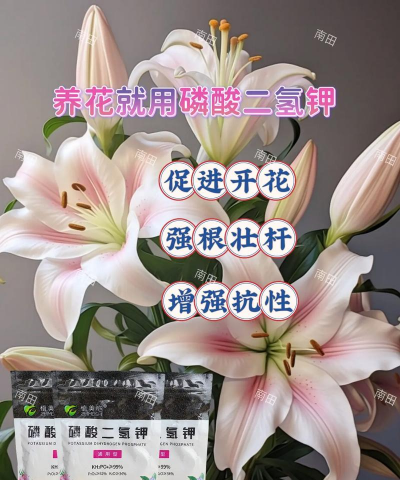 家庭养花用生根粉