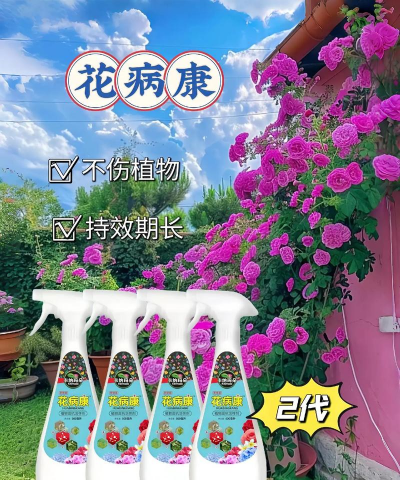 家庭养花用生根粉