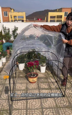 家庭养花用生根粉