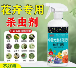 家庭养花用生根粉