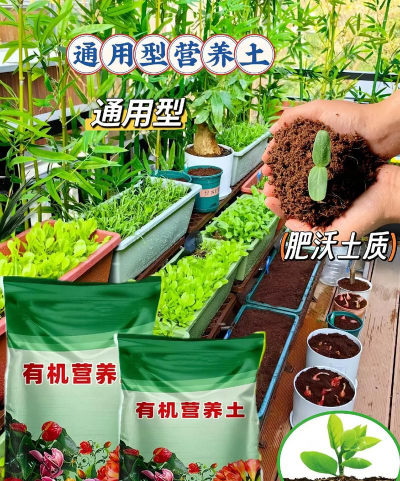 家庭养花用生根粉