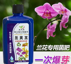 家庭养花用生根粉