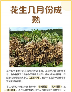 北方什么时节开始养花生