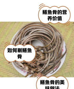 黄鳝骨头可以养花吗