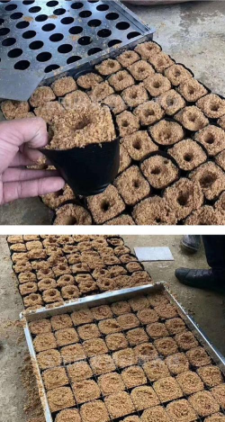 别墅园林绿化设计，打造私密空间，提升居住品质