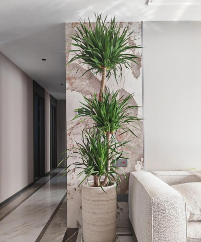 绿化景观设计，提升环境品质，创造宜人空间