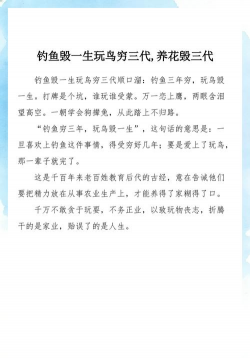 无土栽培技术，突破土壤限制，开启高效种植新篇章