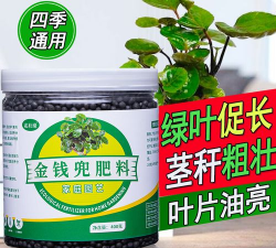 金钱兜养花肥料