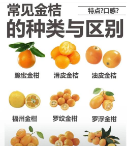 大金桔又叫什么