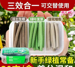 家庭养花用生根粉
