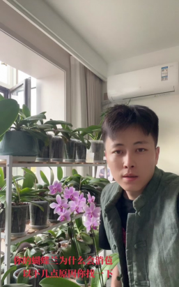 家庭养花用生根粉