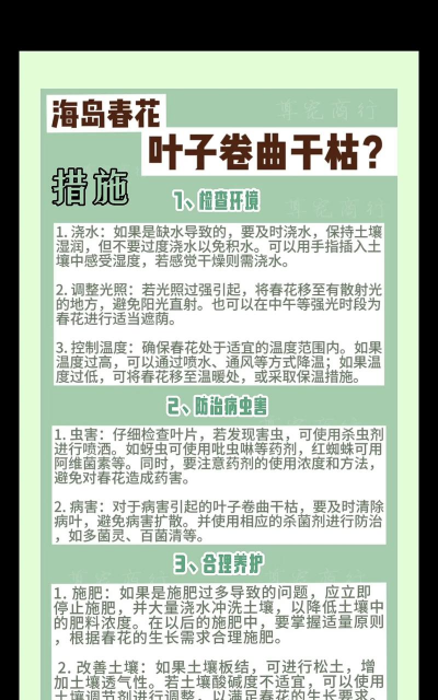 家庭养花用生根粉