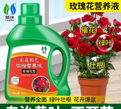 家庭养花用生根粉