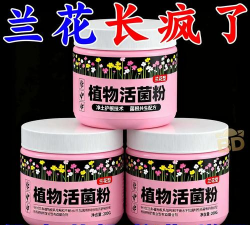 家庭养花用生根粉