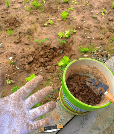 家庭养花用生根粉