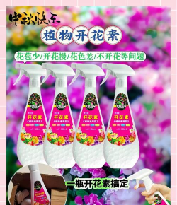 家庭养花用生根粉