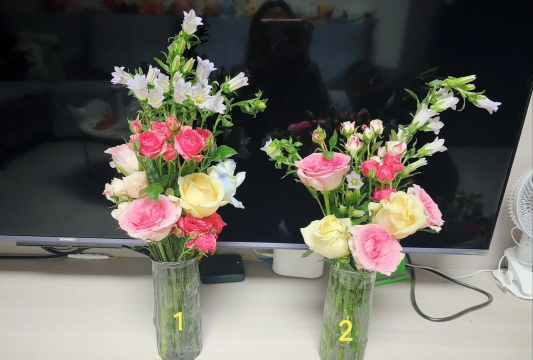 养花好还是插花好呢