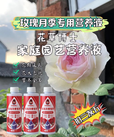 家庭养花用生根粉