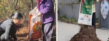 家庭养花用生根粉