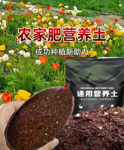 家庭养花用生根粉