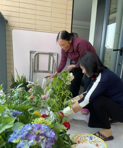 家庭养花用生根粉