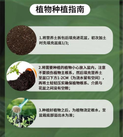 家庭养花用生根粉