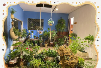 家庭养花用生根粉