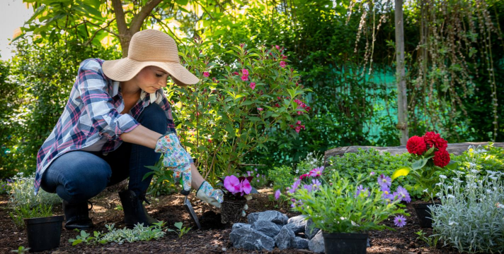 家庭养花用生根粉