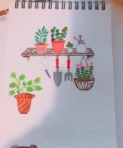 家庭养花用生根粉