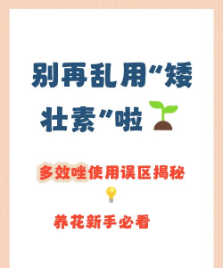 家庭养花用生根粉