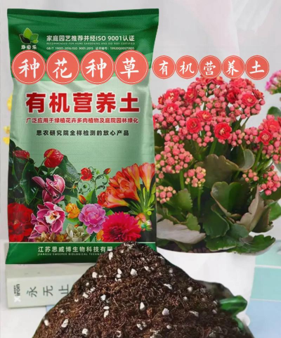 家庭养花用生根粉