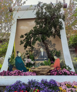 家庭养花用生根粉