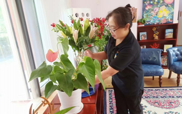 家庭养花用生根粉