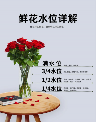 养花不用沥水层行吗