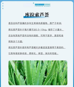 美国芦荟怎么美容