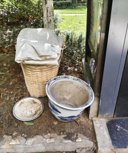 家庭养花用生根粉