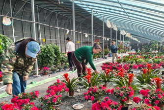 家庭养花用生根粉