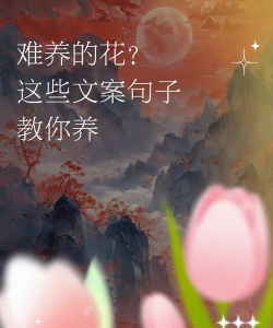 不想养花文案怎么写