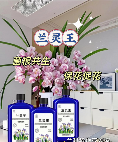 家庭养花用生根粉