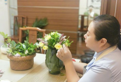 家庭养花用生根粉