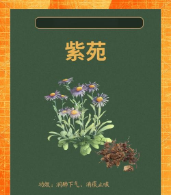 紫菀种植用什么化肥