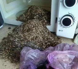 家庭养花用生根粉