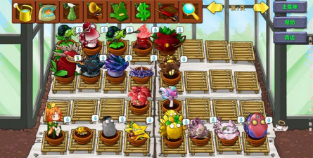 植物大战僵尸如何养花