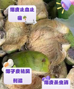 椰青皮能养花吗