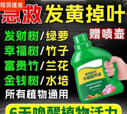 家庭养花用生根粉