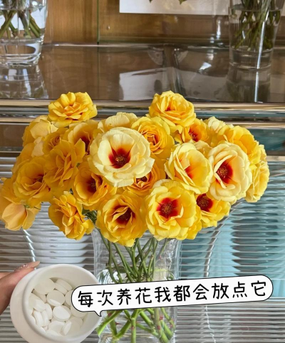 家庭养花用生根粉