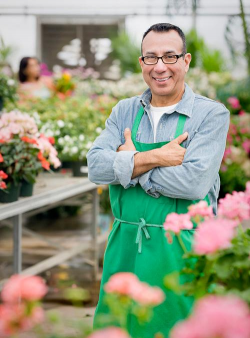 家庭养花用生根粉