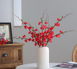 如何延长腊梅插花时间